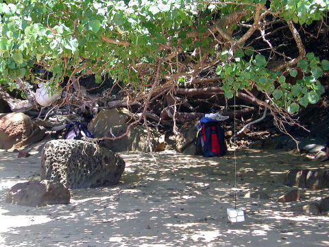 浮玉と発泡スチロールの目印がある。