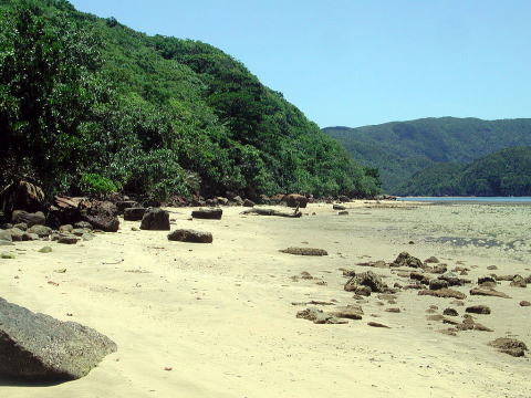 まだまだ湾の奥へと歩きます。