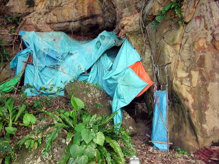 �E�[�u���[�V�[�g�����ł��B�@�J�����͂��Ȃ�傫���ł��B