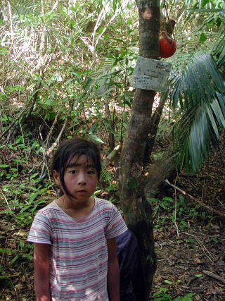 ��������ꂽ�A���ɗ���