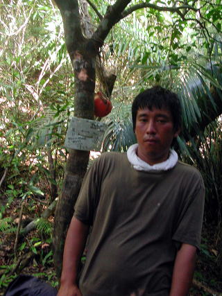 ���̂��鍲������