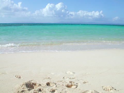 �j�V�n�}�r�[�`�@�����ɐ��\����������