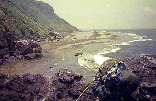 この写真は同じ頃に鹿川へ行った太朗さんが撮りました。