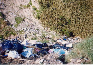 ゴミ捨て場になっている谷